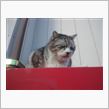 朝も早から・・・「しっかり活動～♪」(^-^)/