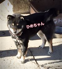 久しぶりに