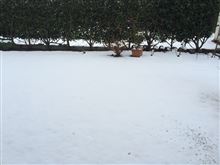 お休みが仕事ｗｗ