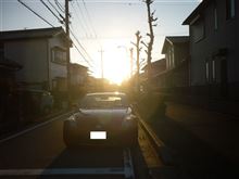 1/31 愛妻の日? ｢ｺｽﾄｺ ｼｮｯﾋﾟﾝｸﾞ｣