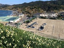 野母崎の水仙祭り