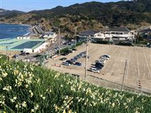 野母崎の水仙祭り 