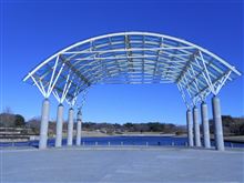 ひたち海浜公園へ。