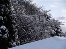 1月最終日は・・・新年会でした♪ 1月最終日は・・・新年会でした♪