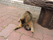 最終目標は『目指せ!-33kg』(613回目) 最終目標は『目指せ!-33kg』(613回目)