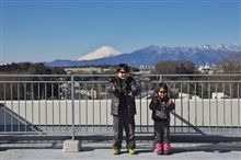 息子８歳の誕生日！（オラフ解体）