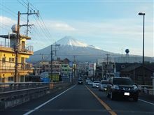 今日は・・・年に一度の[まな板の上の鯉]となる日でした・・・そして・・・