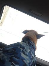 さあ！行くぜ‼︎ 