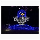 イルミネーション☆