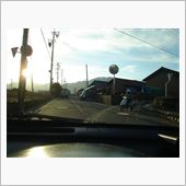 どうしちゃたのかなぁ？？？