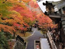 京都紅葉①-南禅寺永観堂
