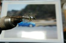 気が付けば