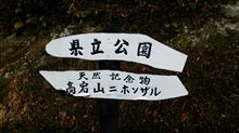 おさるさんと