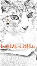 ハスラー購入記(その6) ハスラー購入記(その6)