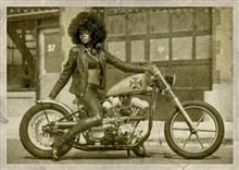 鉄かぶと要らず