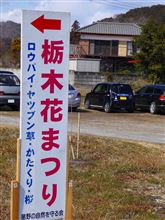 春を探しに 春を探しに