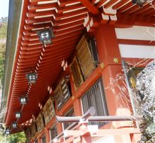 丹沢大山登山 丹沢大山登山