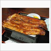 3月21-22日に浜松行くよ ...