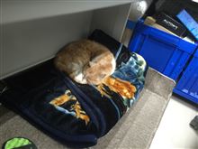 我が家の・・・