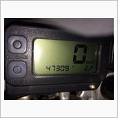 10日目 終了