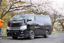あれから1年。。。今年も来ました♪ あれから1年。。。今年も来ました♪