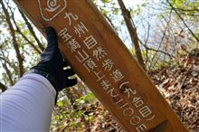 まだまだです。。