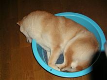 苦しくないの？