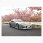 河津桜と