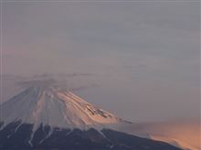 昨日は、地元主催の花見に行ってきました。
