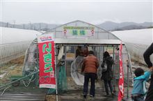 第4回いちご狩りオフinとちぎ 第4回いちご狩りオフinとちぎ