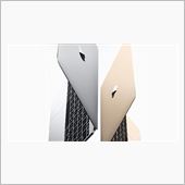 watchには目もくれず。 ...