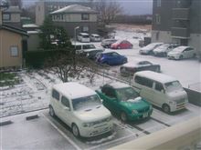 昨日からの雪で