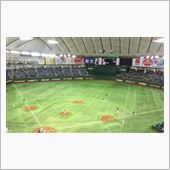 野球観戦（侍ジャパンVS欧州 ...