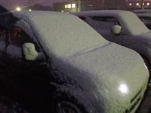 車検でした　が？