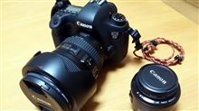 CANON EF24-105mm f4L IS USM