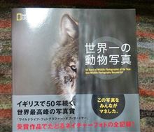 『世界一の動物写真』