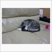 まぶしい・・・