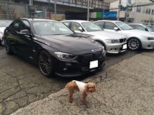 アライメント調整とカーボンシフトノブ装着！永年会員入会．．．。