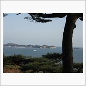 再び土日に暗躍