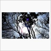 今日は頑張りました！