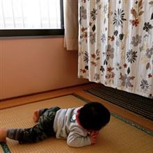 ３月野郎