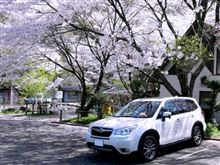 千葉マッタリオフのお知らせ(^^)/