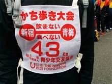 ちょっと43km歩いてみた