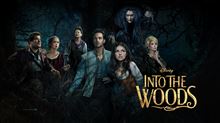 INTO THE WOODS INTO THE WOODS
