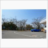 大ハマリ・・・・