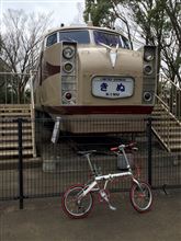 岩槻ポタリング 岩槻ポタリング