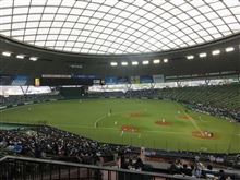 野球観戦（埼玉西武VS横浜DeNA）