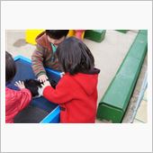 ツノは取れるらしい