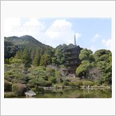 長男のリクエストで瑠璃光寺へ