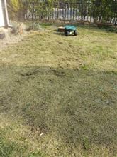 草むしりナウ。